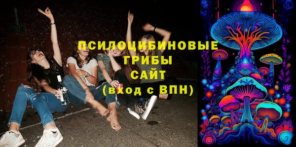 ешки Аркадак