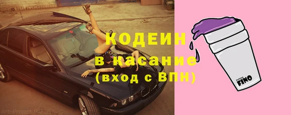 шишки Армянск