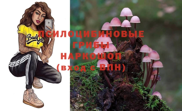 шишки Армянск