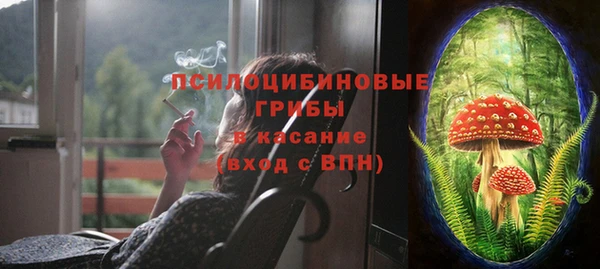 ешки Аркадак