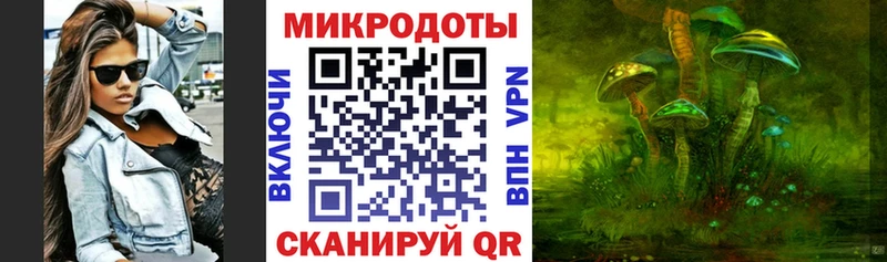 OMG ссылки  сколько стоит  Новомосковск  Псилоцибиновые грибы Psilocybe 
