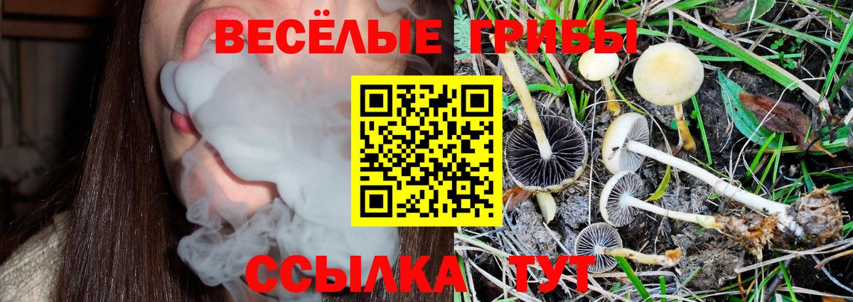 Псилоцибиновые грибы Cubensis  Вход с VPN  Новомосковск 