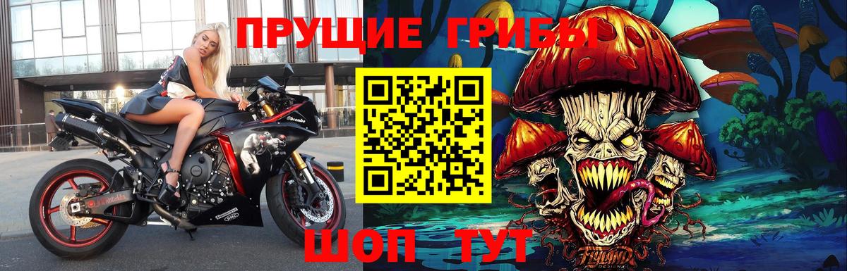 Галлюциногенные грибы GOLDEN TEACHER Новомосковск